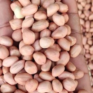 Java Peanut exporter