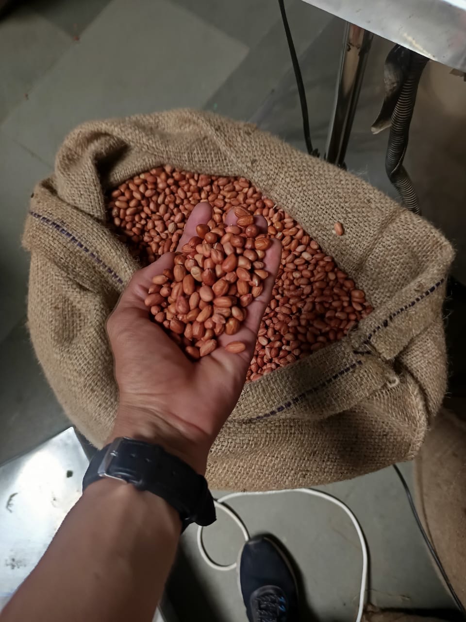 Peanut Exporter